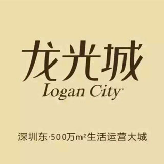 龙光城