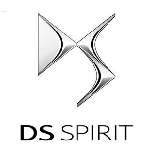 DS谛艾仕
